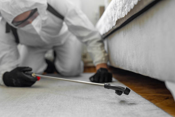 Professional Emergency Pest Control technician working in Lake in the Hills, IL
