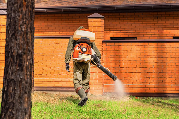 Trusted Cockroach Control service in Lake in the Hills, IL - Nex Pest Control